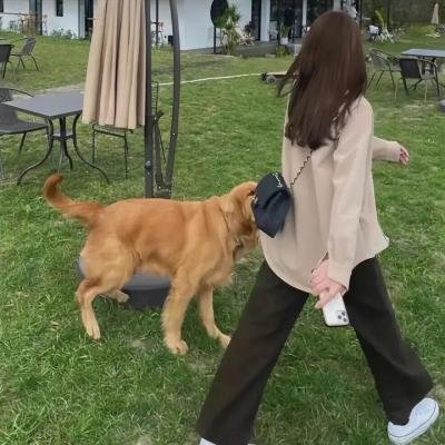 妖妇